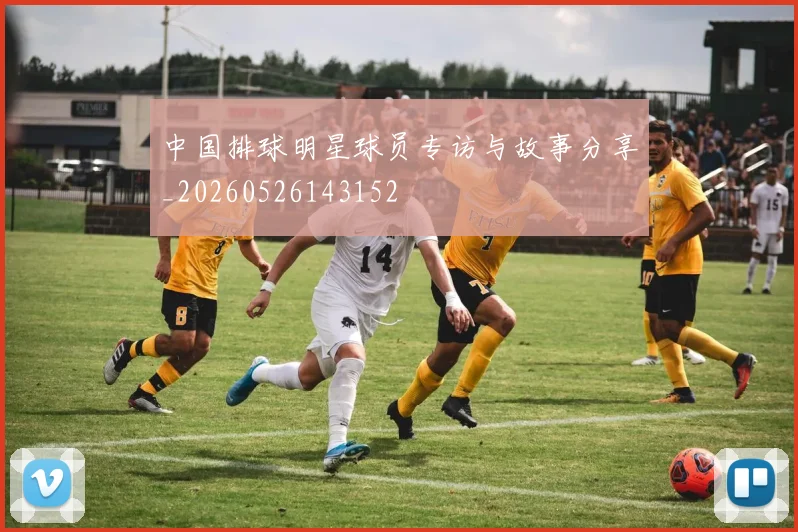 中国排球明星球员专访与故事分享_20260526143152
